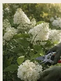 Садовник — подбор в агентстве Дом Персонала, от 6 000 ₽/выход